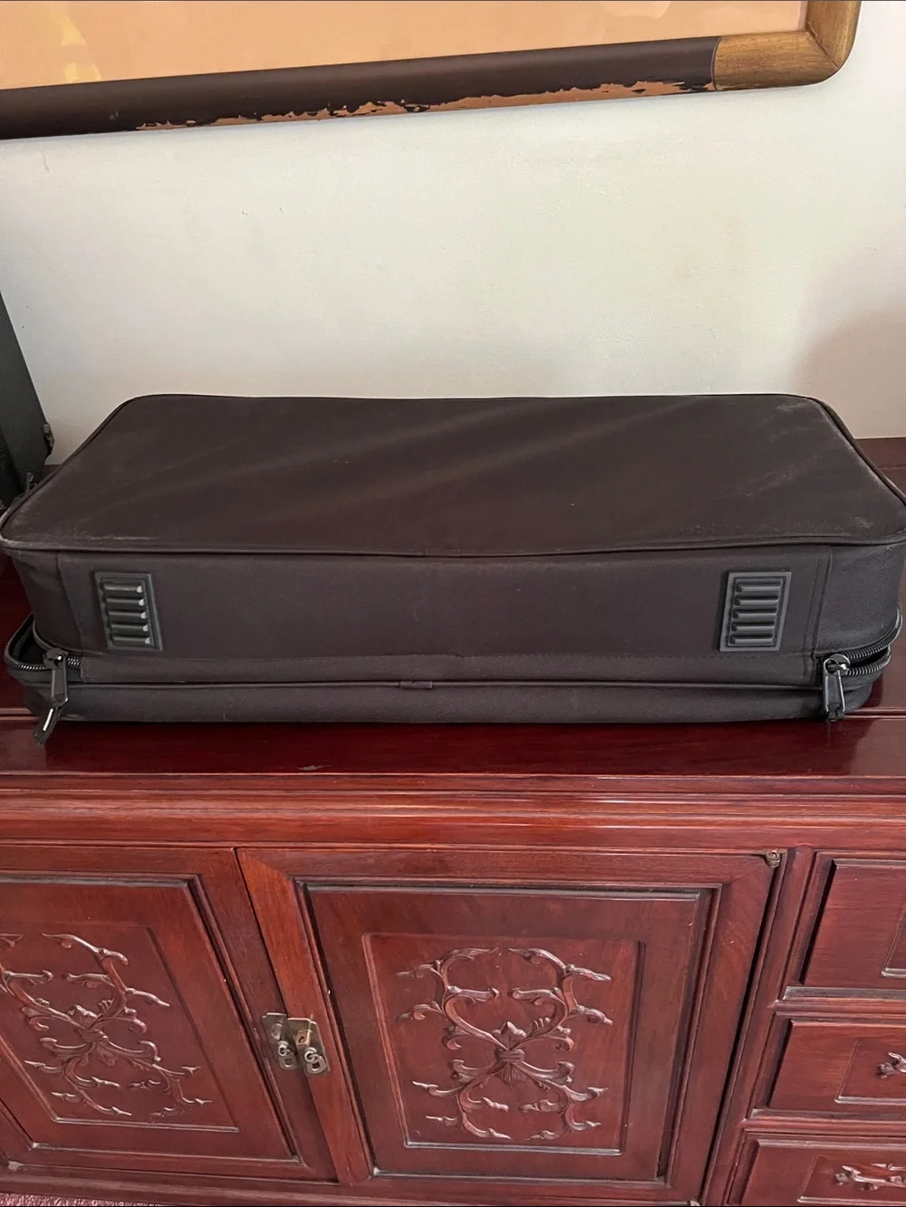 Fender Black Tone Master Pro Gig Bag